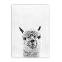 Baby Animal Alpaca Wall Art Canvas Print , Farm Animals Llama Art Canvas Painting Poster For Kids Room Nursery Wall Art Decor